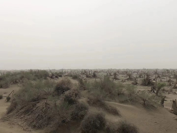 立遺囑時，見證人有什么要求嗎？上海律師事務(wù)所：必須符合這些
