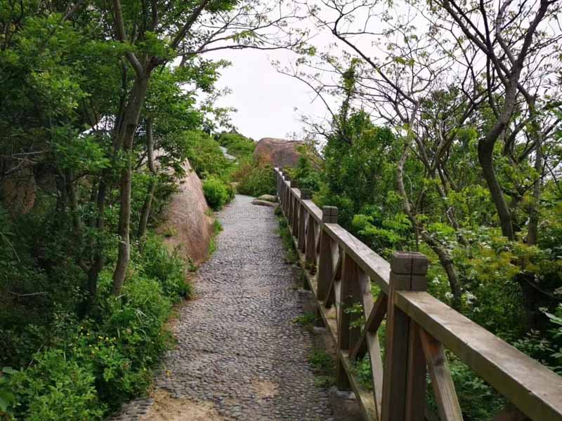 楊浦律師：關于遺囑繼承你不得不知道的法規法規