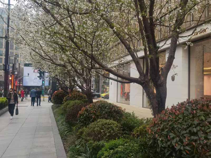 長寧區(qū)律師以案析法：征收方提供10套住宅置換被拆廠房，法院是如何說的？